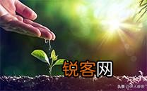 身为一个男孩,等你长大了,混得还没父亲好？你会咋办？