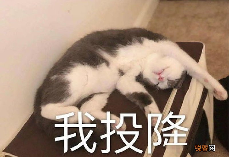 我是如何被儿子训练成泼妇的？ 我是如何被儿子训练成泼妇的？