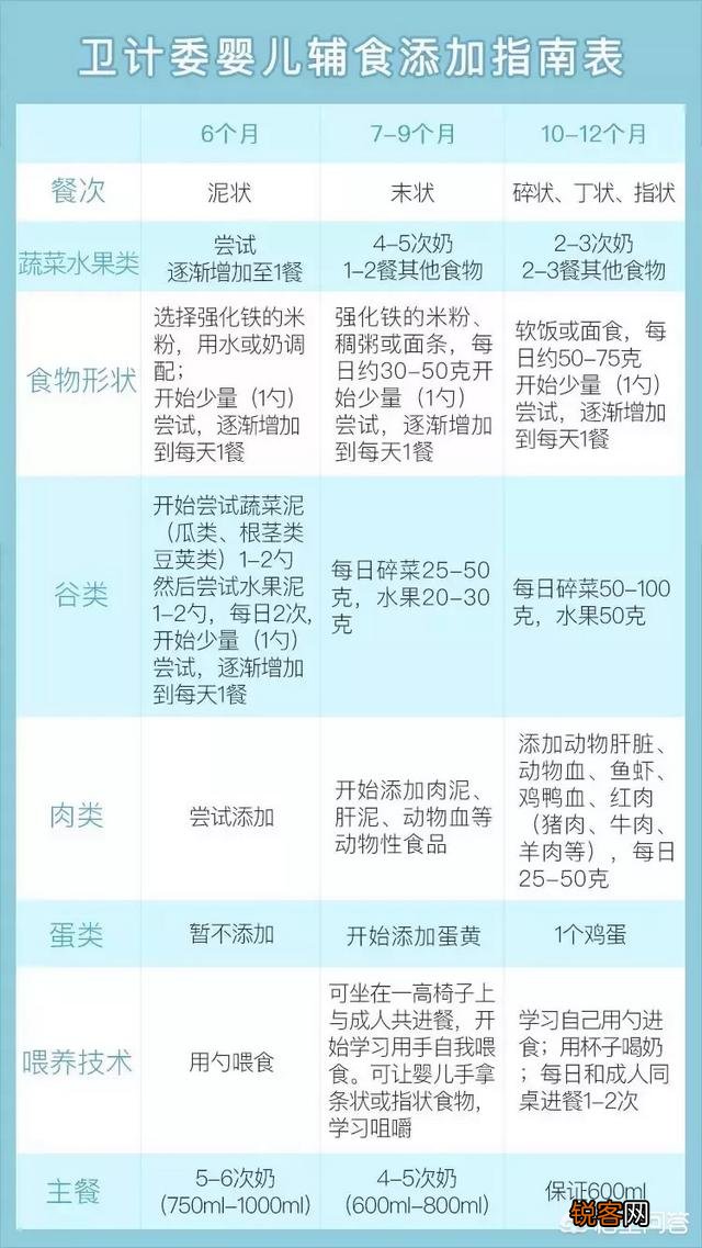 新生儿6个月后可以用哪些食物作为辅食,来确保足够的营养？