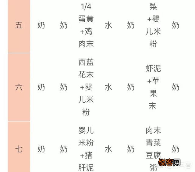 新生儿6个月后可以用哪些食物作为辅食,来确保足够的营养？