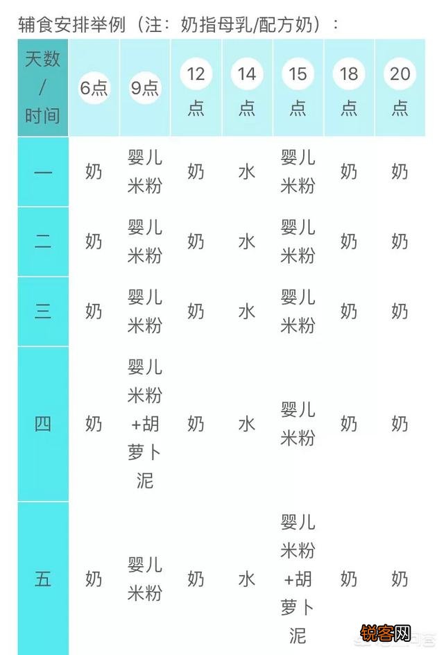 新生儿6个月后可以用哪些食物作为辅食,来确保足够的营养？