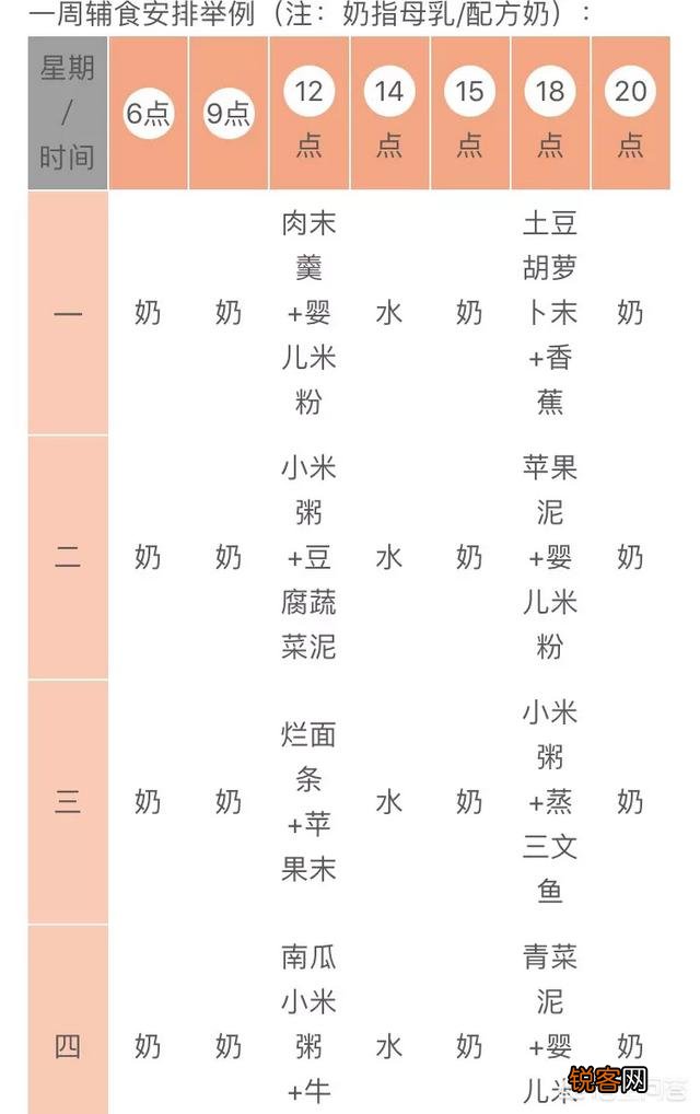 新生儿6个月后可以用哪些食物作为辅食,来确保足够的营养？