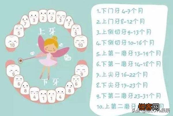 有没有简单易上手的6-12个月宝宝辅食食谱？上班的妈妈太难了？