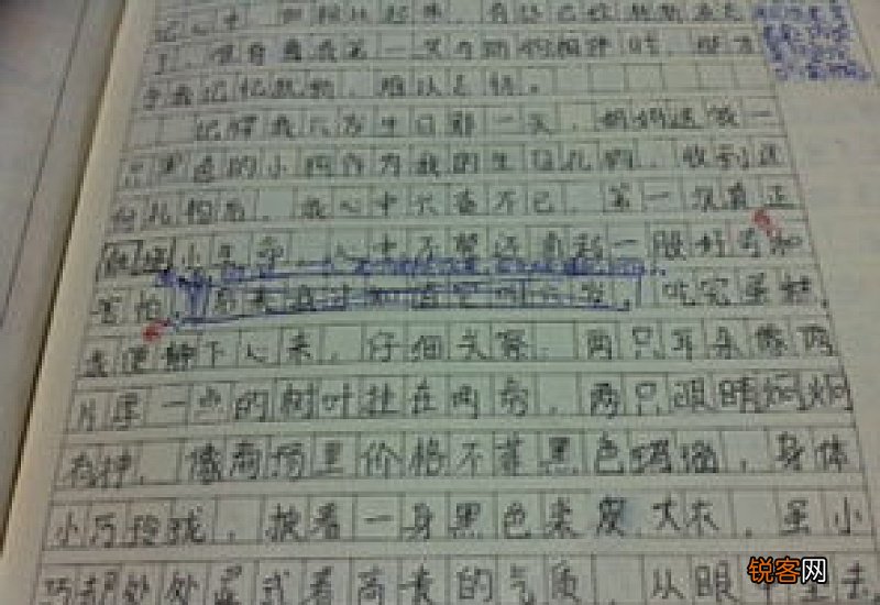 第一次初三作文800字