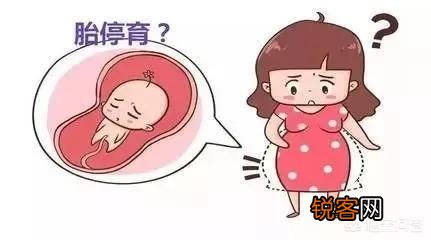 为什么会出现胎停育？