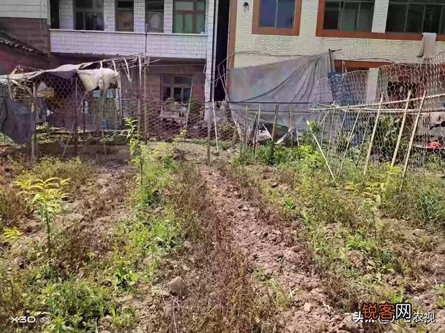 农村荒地有用吗？