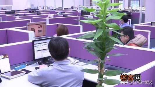 夫妻在同一个单位好不好？