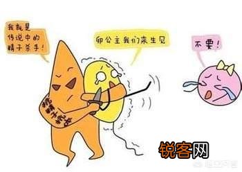 怀孕三个月胎停,想再怀孕压力大,害怕怎么办,怀孕前都查什么？