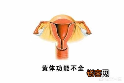怀孕三个月胎停,想再怀孕压力大,害怕怎么办,怀孕前都查什么？