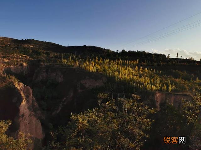 请大家帮忙看看这幅画有没有收藏价值?