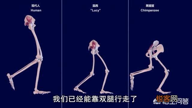 顺产是最高级别的痛,为什么大多数孕妇能撑过去？