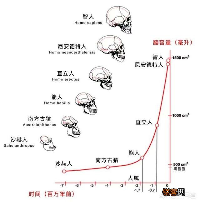 顺产是最高级别的痛,为什么大多数孕妇能撑过去？