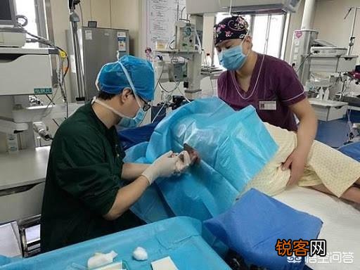 顺产是最高级别的痛,为什么大多数孕妇能撑过去？