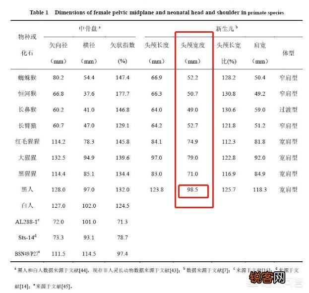顺产是最高级别的痛,为什么大多数孕妇能撑过去？