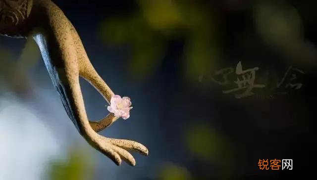 王阳明：“你未看此花时,此花与汝同归于寂；你来看此花时,则此花颜色一时明白起来。”你如何看待这句话？
