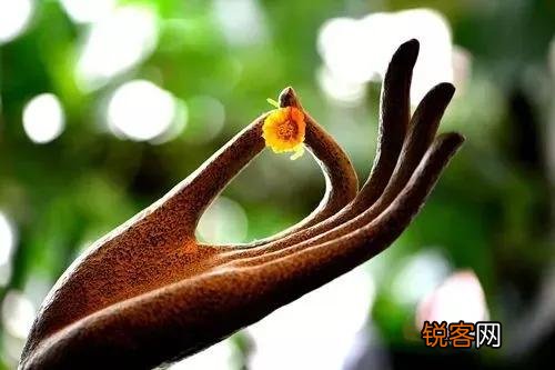 王阳明：“你未看此花时,此花与汝同归于寂；你来看此花时,则此花颜色一时明白起来。”你如何看待这句话？