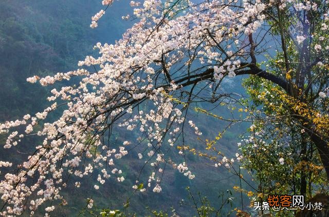 王阳明：“你未看此花时,此花与汝同归于寂；你来看此花时,则此花颜色一时明白起来。”你如何看待这句话？