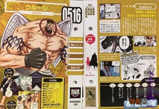 在《海贼王》超新星有最新生命卡有哪些,悬赏金又是多少？