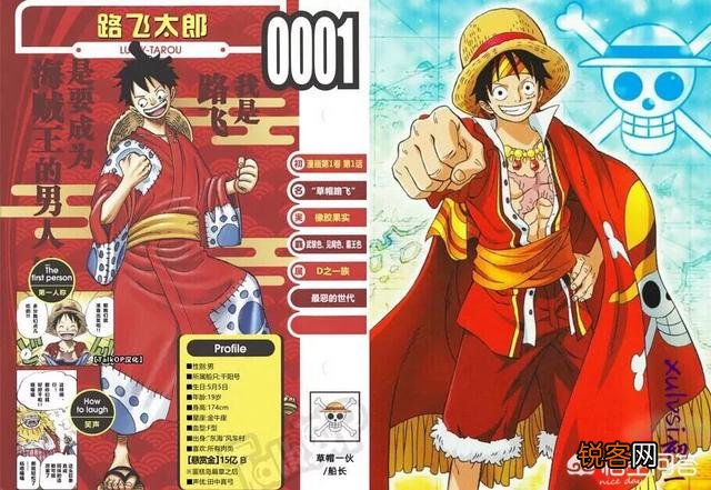 在《海贼王》超新星有最新生命卡有哪些,悬赏金又是多少？