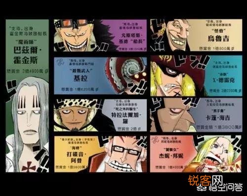 海贼王中悬赏金的意义为何？