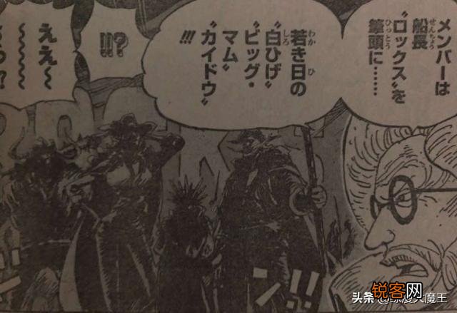 《海贼王》957话,洛克斯海贼团的宠物凯多实锤,当年的悬赏金能超过乔巴吗？