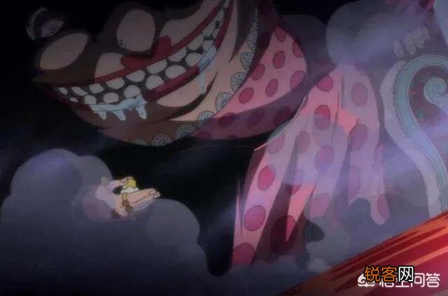 《海贼王》中出现过的海贼团有哪些,船长的悬赏金是多少?