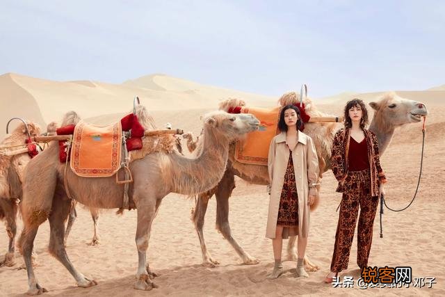 谁了解中国女装品牌排名,介绍一下可以吗？