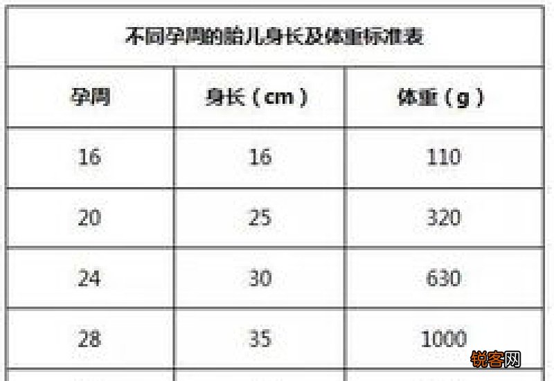 胎儿体重估算的基本情况
