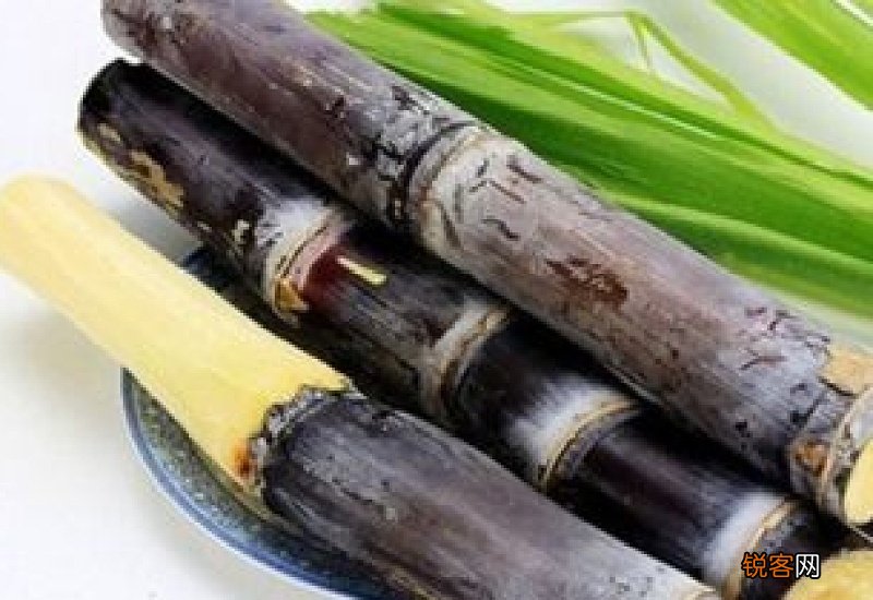 晚上吃甘蔗会胖吗 吃甘蔗会不会导致发胖