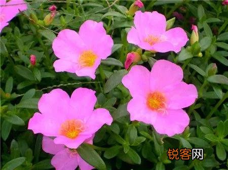 生活中,哪些细节可以看出一个人的格局大？