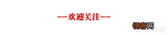 刘强东不予起诉和无罪释放是怎么回事？