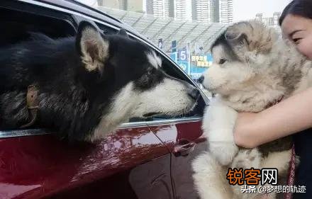 有哪些正能量的搞笑可以分享？
