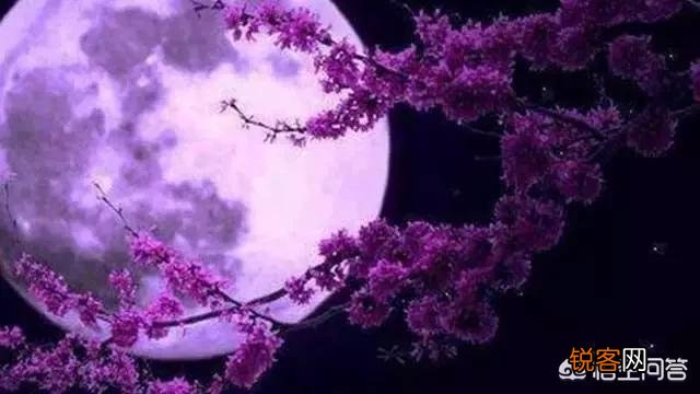 《十五夜望月》这首诗前两句写景,写出诗人怎样的形象和心境？