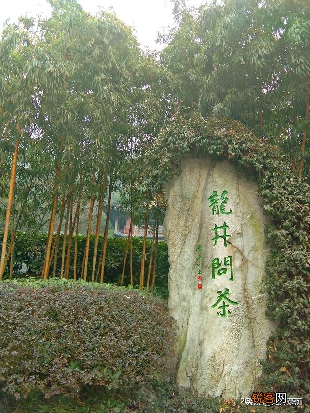 最近几年喜欢上了喝茶,有什么好喝不贵的茶叶吗,求推荐？