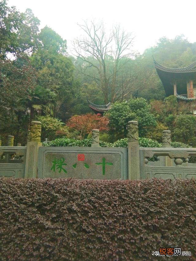 最近几年喜欢上了喝茶,有什么好喝不贵的茶叶吗,求推荐？
