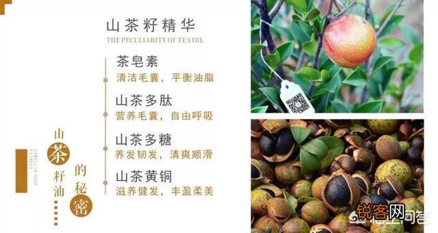 什么洗发水洗了不掉头发还有营养？