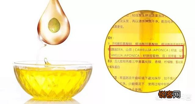 什么洗发水洗了不掉头发还有营养？