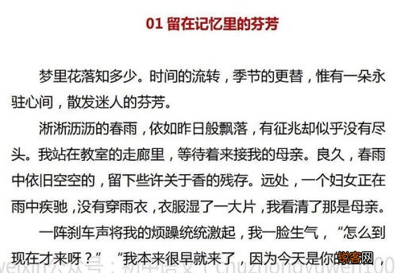 母亲节的中考语文优秀作文