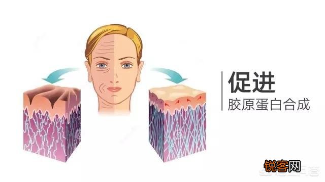 有哪些真正安全好用的美白护肤品成分?