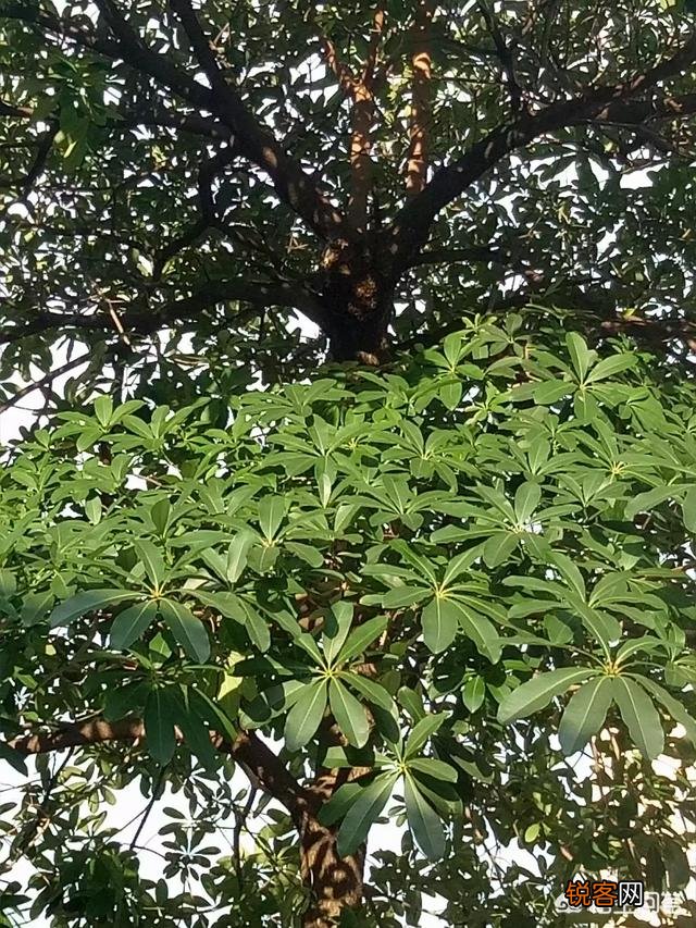 我有一个不错的创业项目？这个项目风险小,收益应该还不错,想创业手头上资金又有些困难,怎么办？