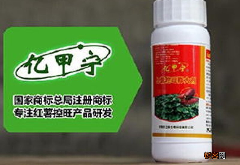 红薯怎样用草木灰控旺