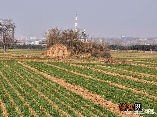 赵光义即位后都干了哪些坏事?
