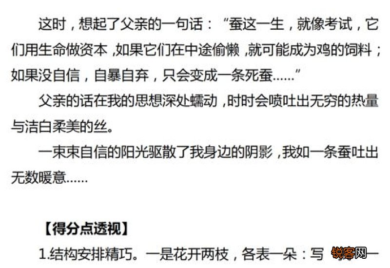关于阳光的中考语文作文