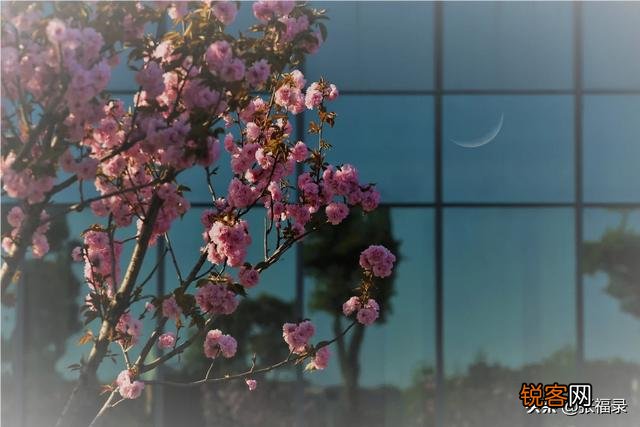 “春花秋月何时了”,春花和秋月究竟有什么关系？为什么？