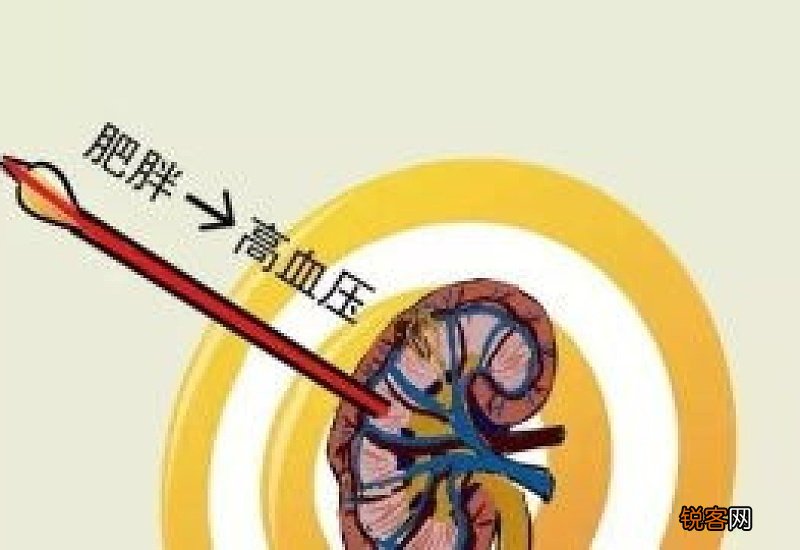 蓝月亮正版精选免费资料大全 蓝月亮精选资料大全免费