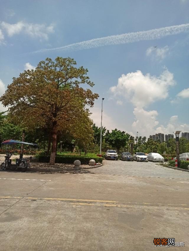 有没有跑顺风车的,哪个平台好点,能不能挣点生活费？