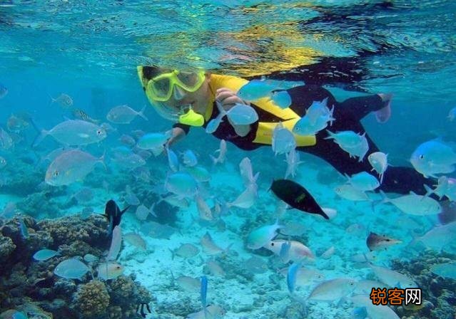 为什么三沙不能开发和马尔代夫一样的旅游业？