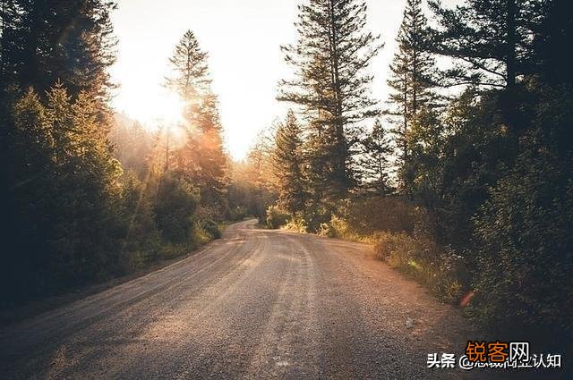 我想创业,但是不知道做哪种行业,求推荐？