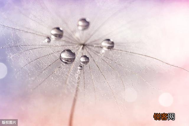 在家想创业干什么好？