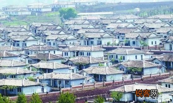 最佳的创业模式或项目是什么？